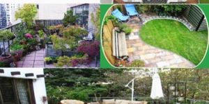 Terrace Garden Designing