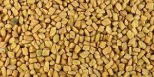 Fenugreek Seeds
