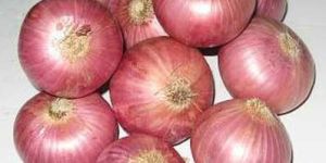 Red Onion