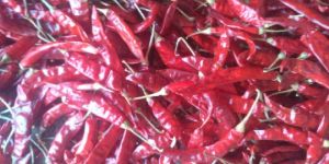 Guntur Red Chilli