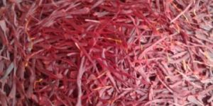 Kashmir Saffron