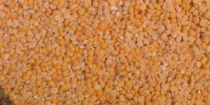 Masoor Dal