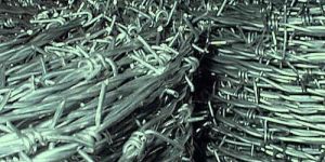 Barbed Wire