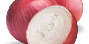 Onion
