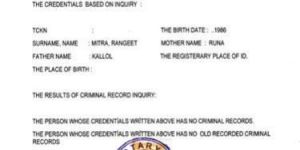 Translation Services