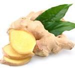 GINGER EXTRACT