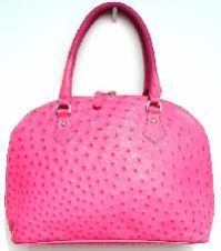 Ladies Fashions Bags