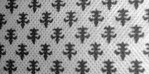 Printed Non Woven Fabric