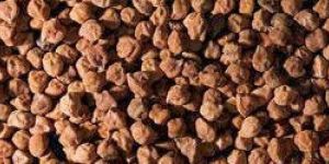 Black Chickpeas