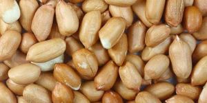 Blanched Peanuts