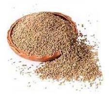 Cumin Seeds