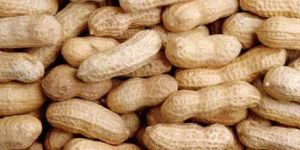 Shelled Peanuts