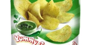 Yummy Green Chatni Wafers
