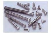 Stainless Steel Bolts