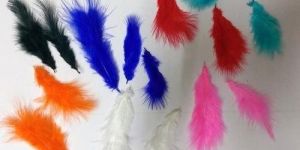 Colored Feathers