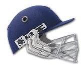 Cricket Accessories