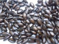 Custard Apple Seeds