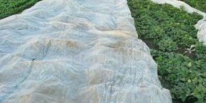 Nonwoven Mulching Fabric