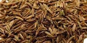 Cumin Seeds
