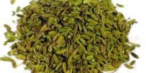 Fennel Seeds