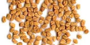 Fenugreek Seeds