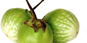 Fresh Brinjal
