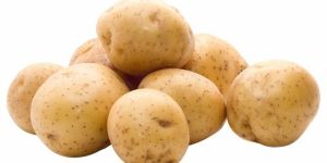Fresh Potato