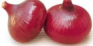 Red Onion