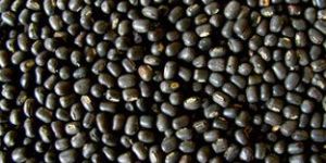 Organic Black Gram