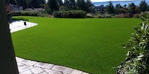 Synthetic Turf