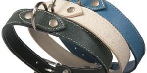 Dog Collars 04