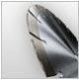 Bosch Power Tool & Accessories
