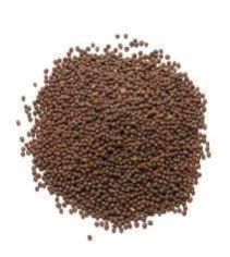 Mustard Seeds
