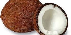 Fresh Coconut