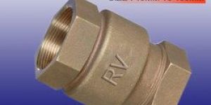 Vertical Check Valve