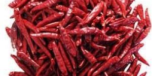Dried Red Chilli