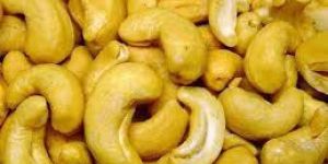 Cashew Nut Kernels