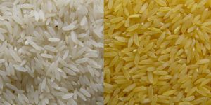 Basmati Rice