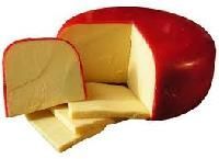 Gouda Cheese