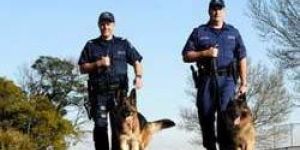 Dog Security Training