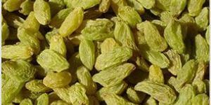 Green Raisins