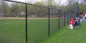 Chain Link Fence