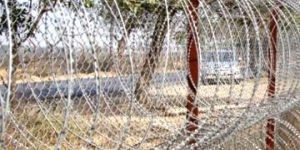 Concertina Wire