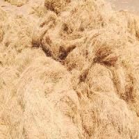 Coir Cut Fibre