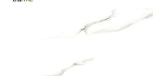 Porcelain Polished Floor Tiles