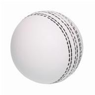 Cricket Ball