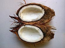 Coconut