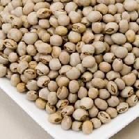 Arhar Seeds