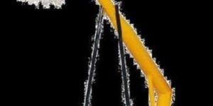 Movable Basketball Stand