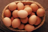 Brown Eggs